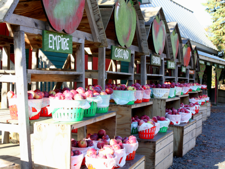 68634553_1320281891471490_6775109844841005056_n