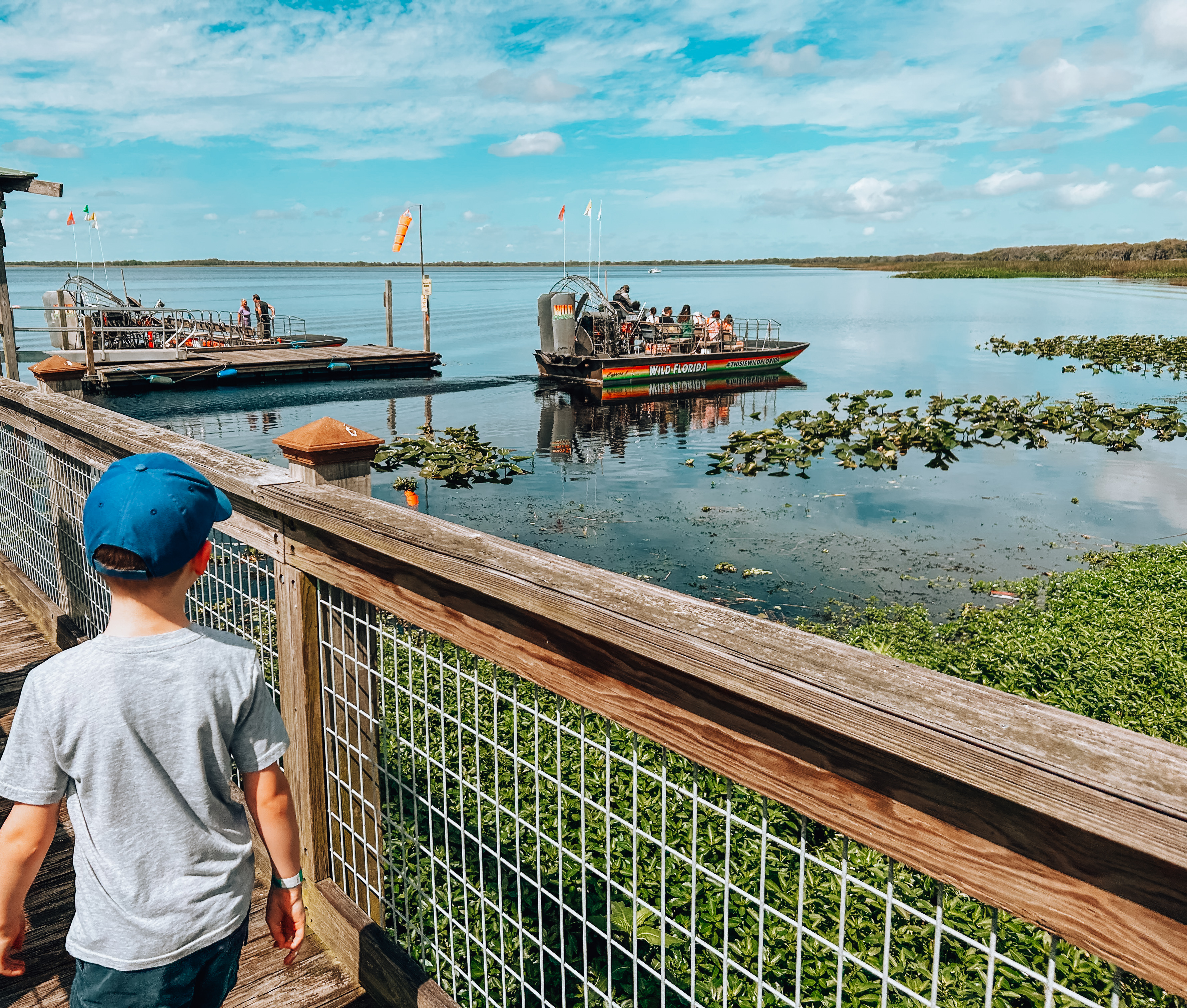 Best Everglades Airboat and Swamp Tours