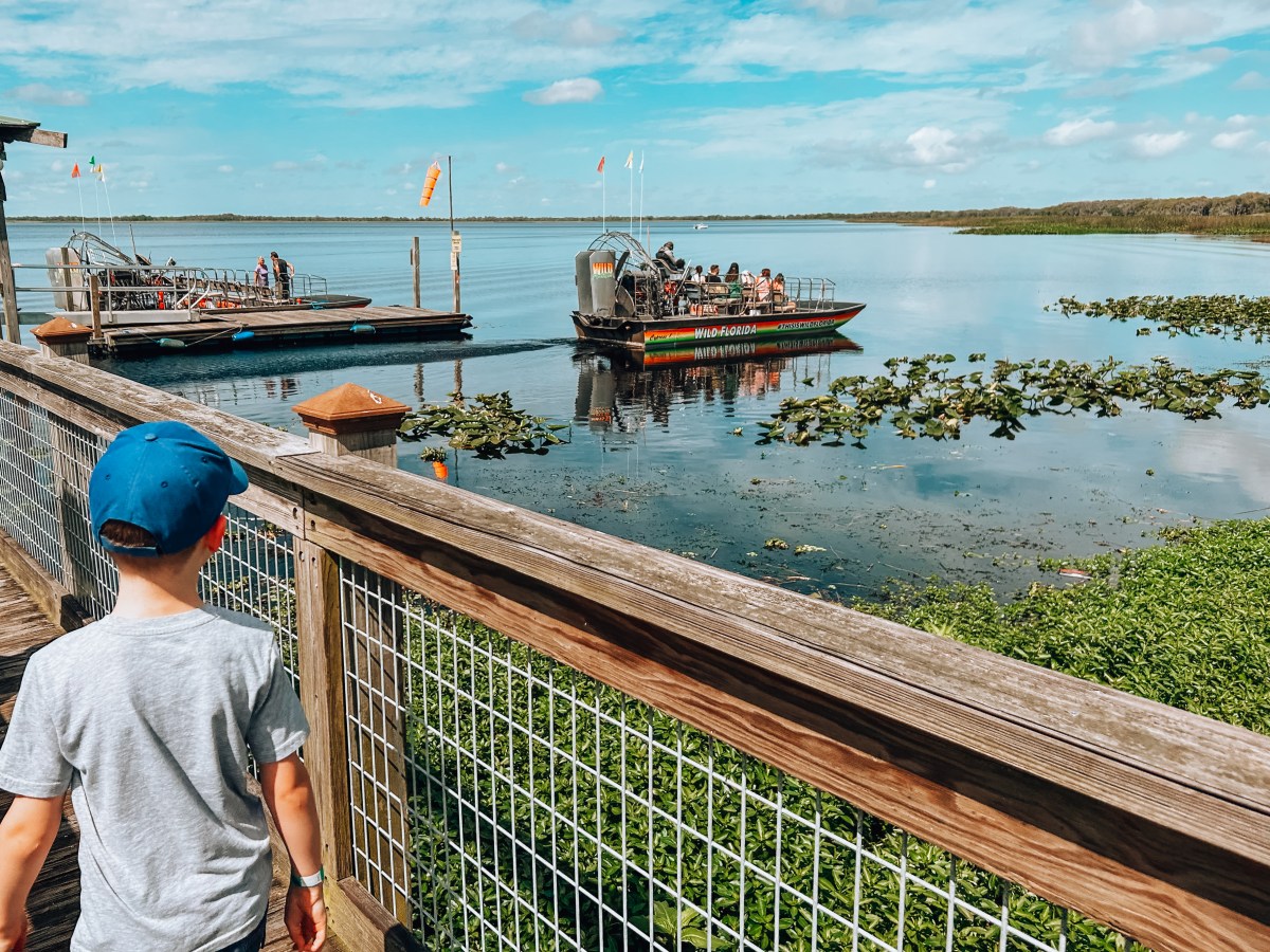 Best Everglades Airboat and Swamp Tours